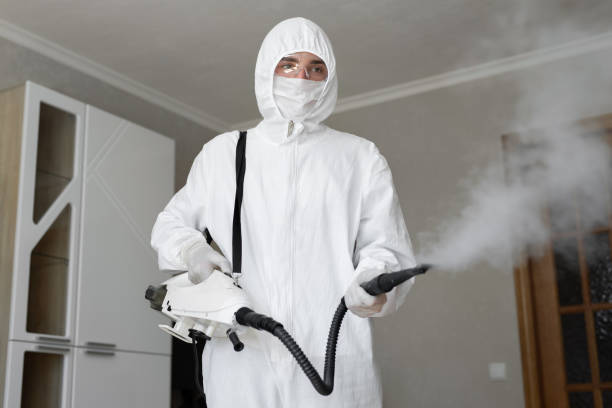 Mold Remediation for Vacation Homes in Owasso, OK